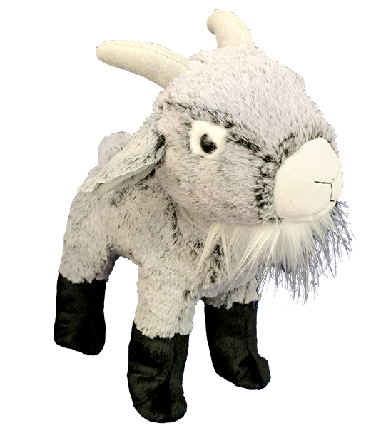 Billy the Grey Goat