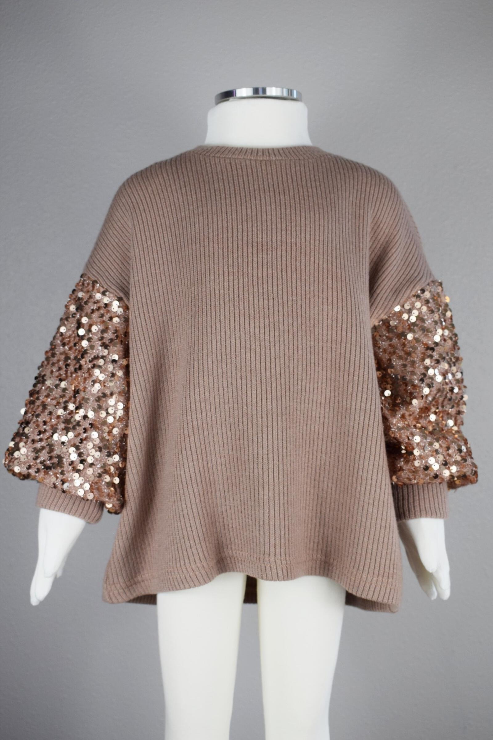 Champaign Sweater Top with Sequin Sleeve