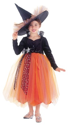 Fairy Witch Costume