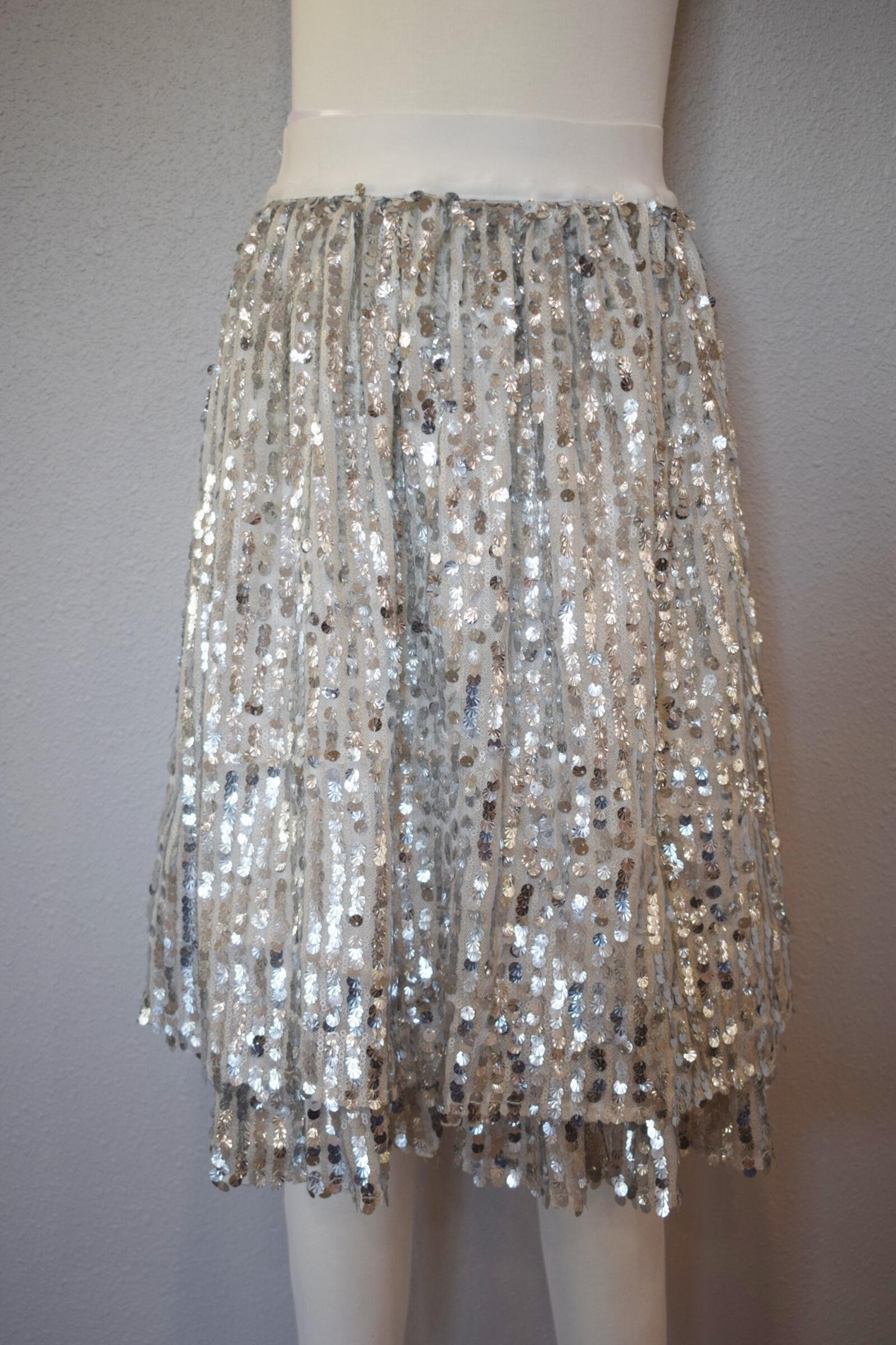 Silver Sequin Skirt