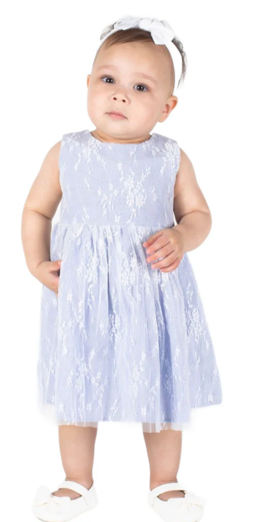 Sky Blue Ivory Embroidered Lace Overlay